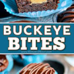 two image collage showing a peanut butter filled chocolate cookie cut in half sitting on a blue and white muffin liner and the bottom image is a whole buckeye bite. center color block with text overlay.