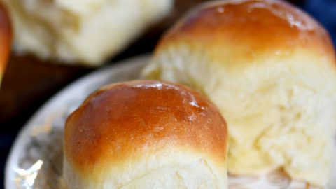 the best dinner rolls
