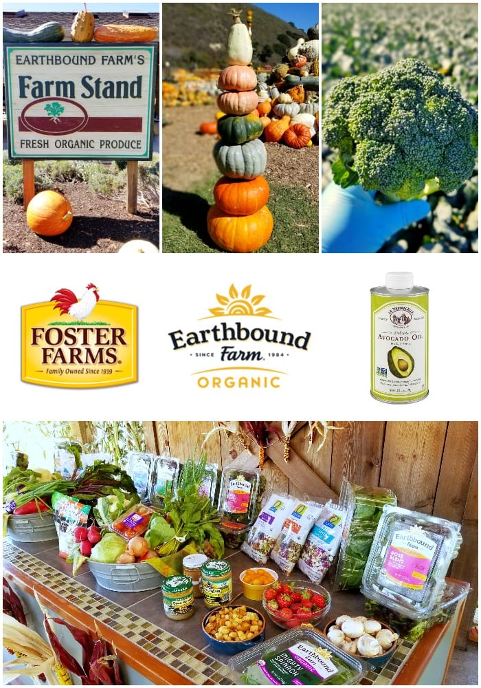 earthbound-farm-organic-collage