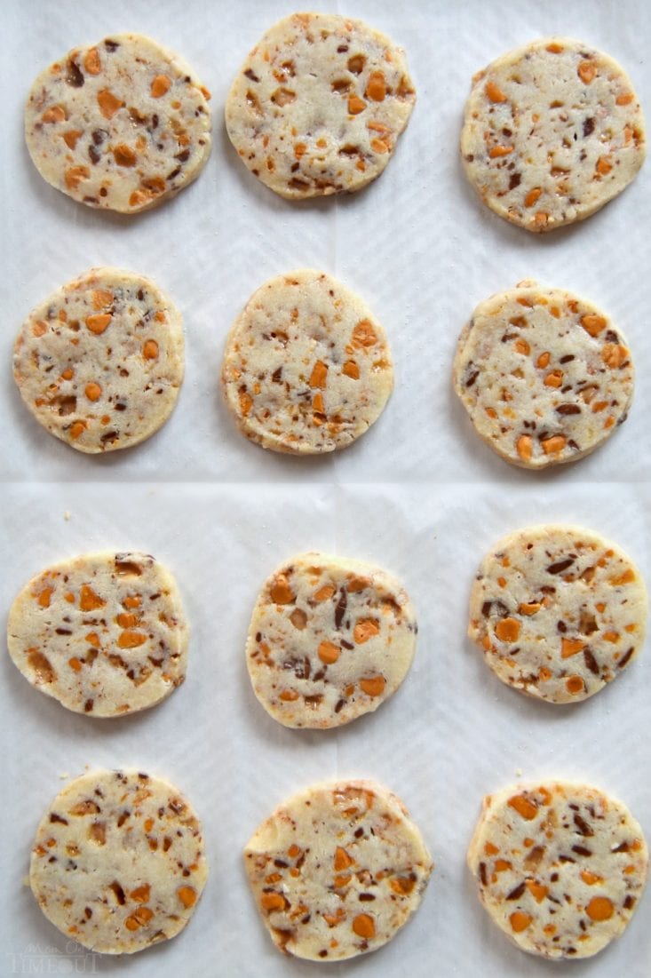 butterscotch-shortbread-cookies-baked on parchment lined baking sheet