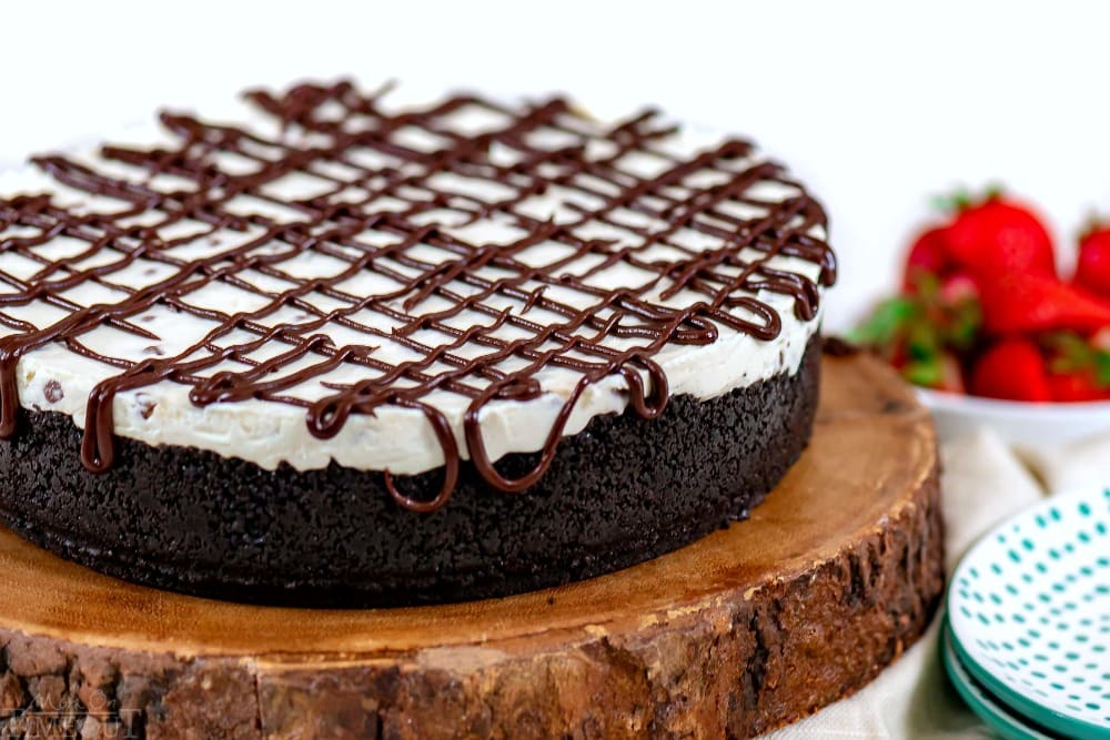 chocolate-chip-no-bake-cheesecake-whole