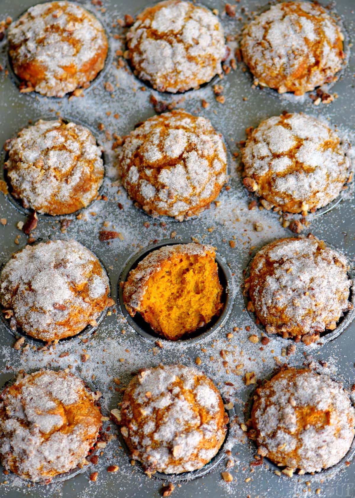 Overhead shot of pumpkin muffins recipe in muffin pan with crackled, sugared tops. One muffin has been torn in half revealing the soft, moist muffin interior.