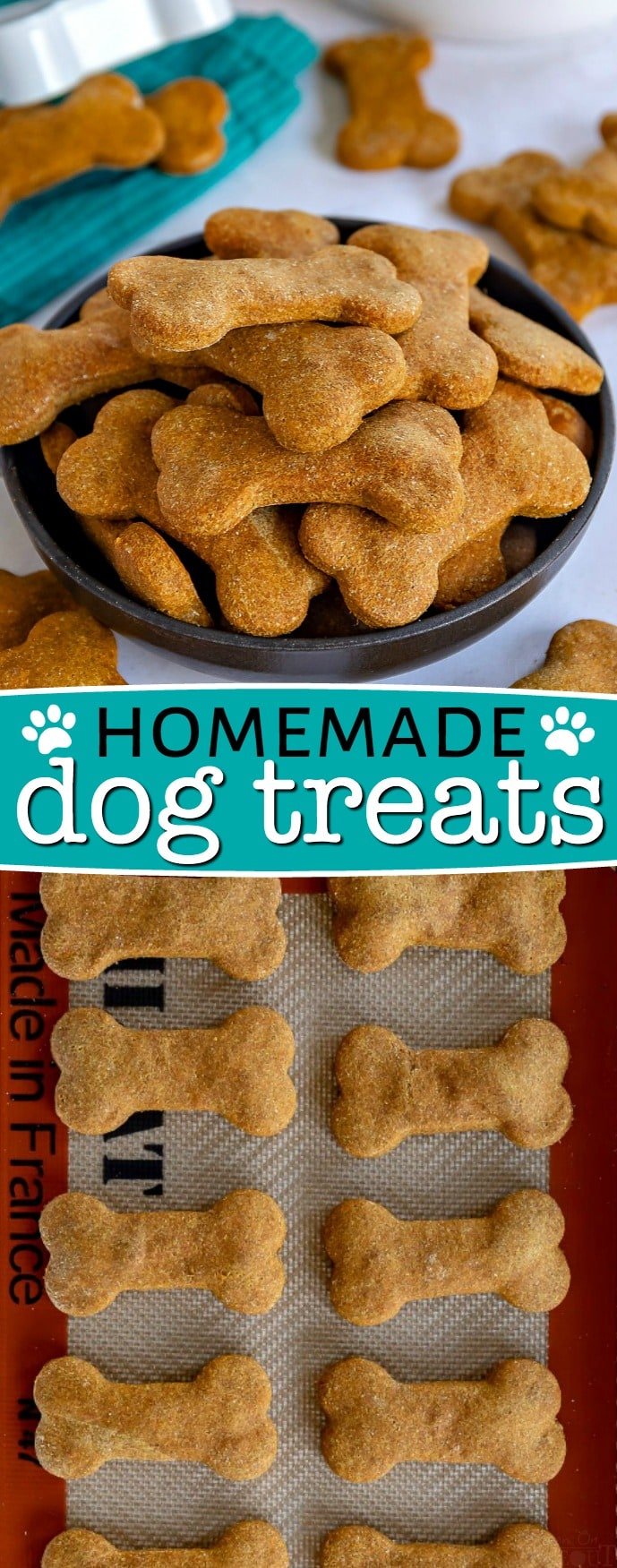 healthy dog treat recipes