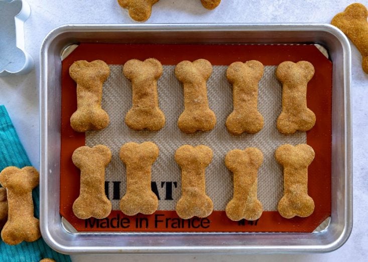 homemade dog treats on baking sheet baked