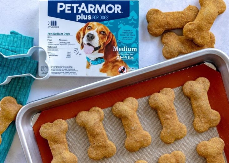 peanut butter dog treat recipe baked on baking sheet