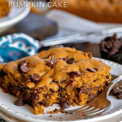 chocolate chip pumpkin cake with title