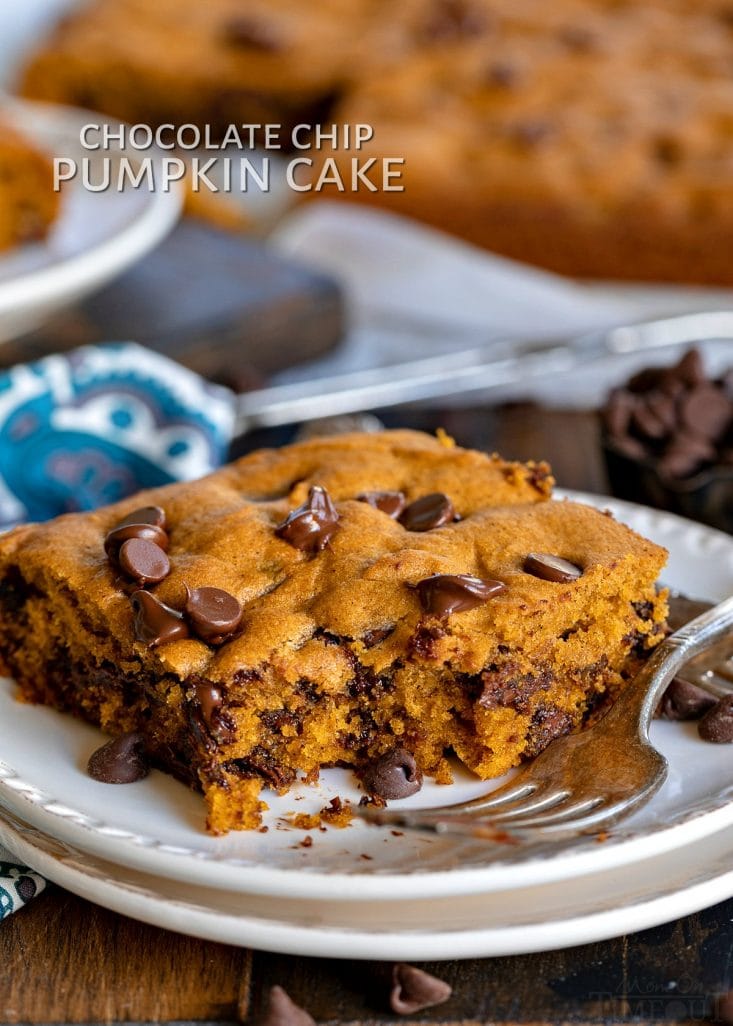 chocolate chip pumpkin cake with title