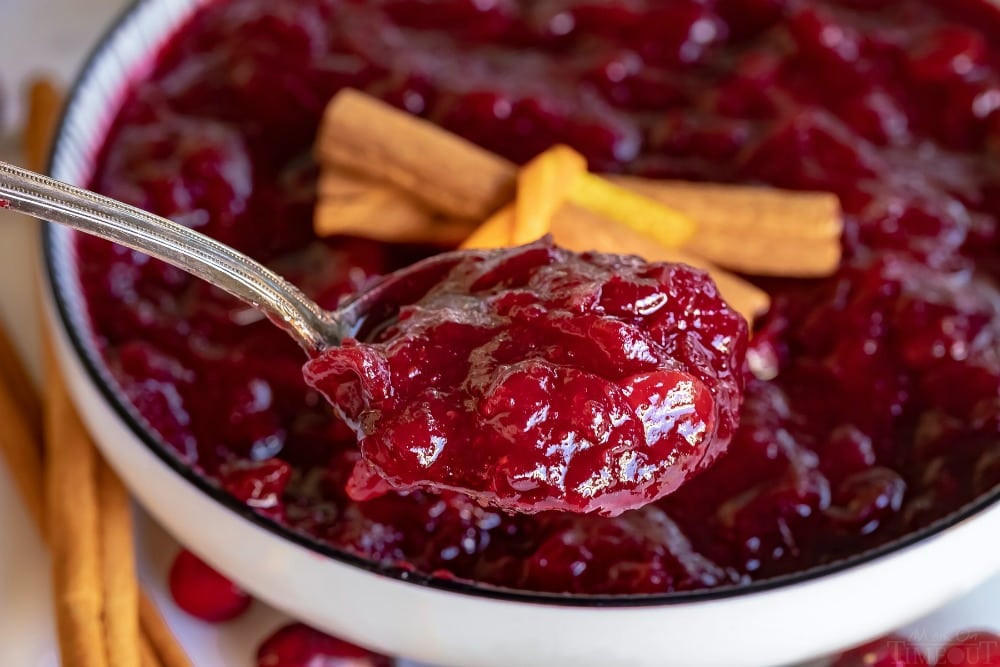 cranberry sauce spoonful in white bowl