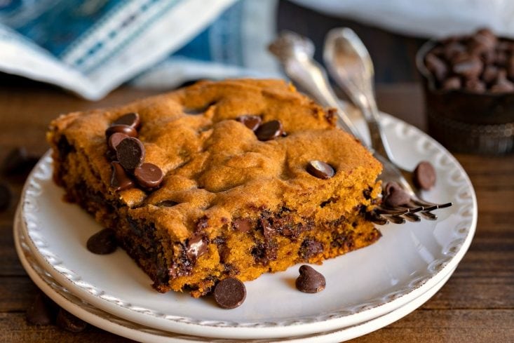 pumpkin spice cake with chocolate chips