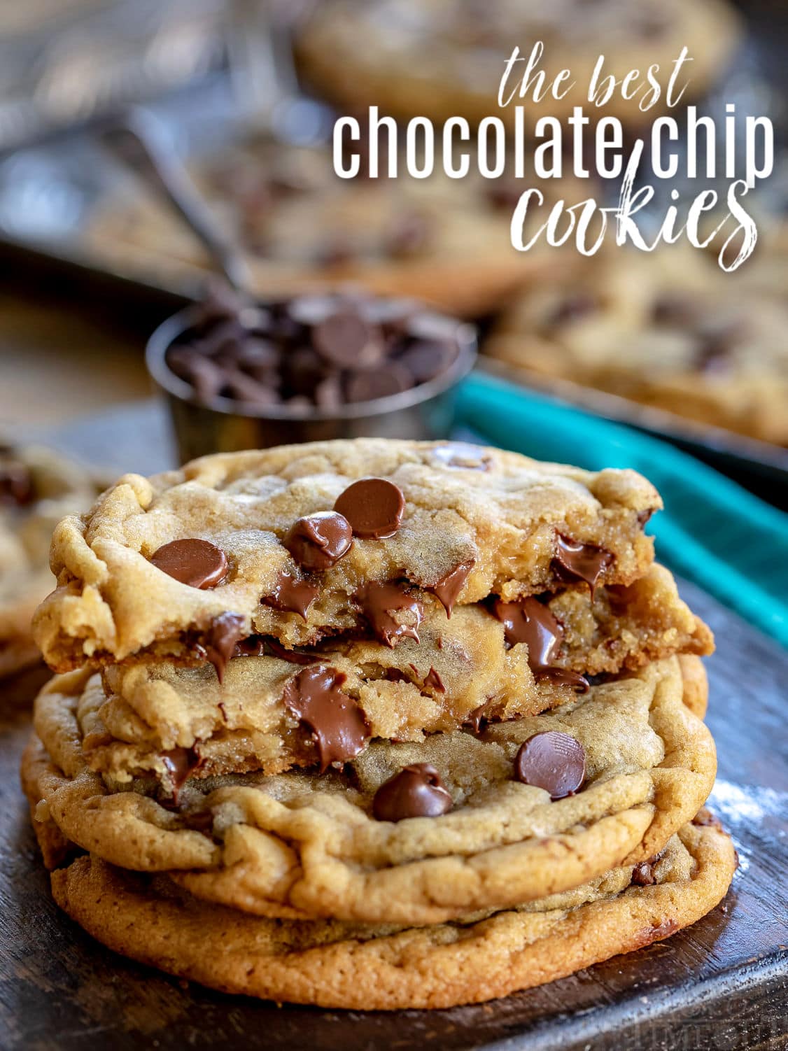 Soft and Chewy Chocolate Chip Cookie Recipe