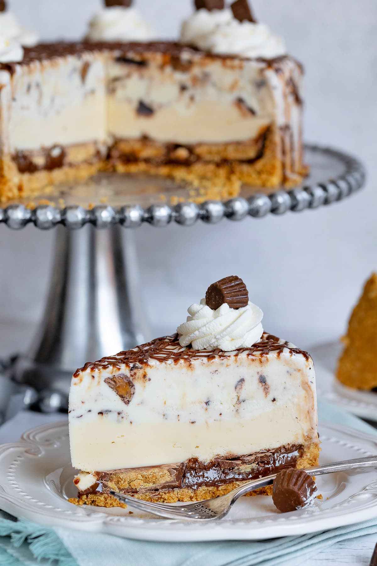 slice of chocolate peanut butter ice cream cake on white plate