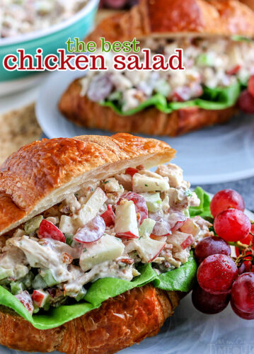 close up view of best chicken salad recipe served on croissant with grapes on the side and text overlay