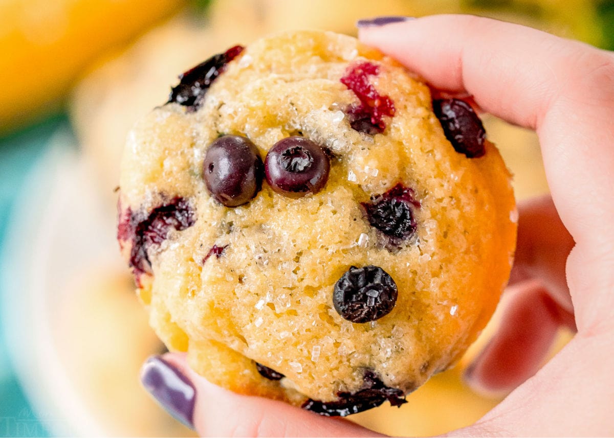 holding blueberry corn muffin in hand