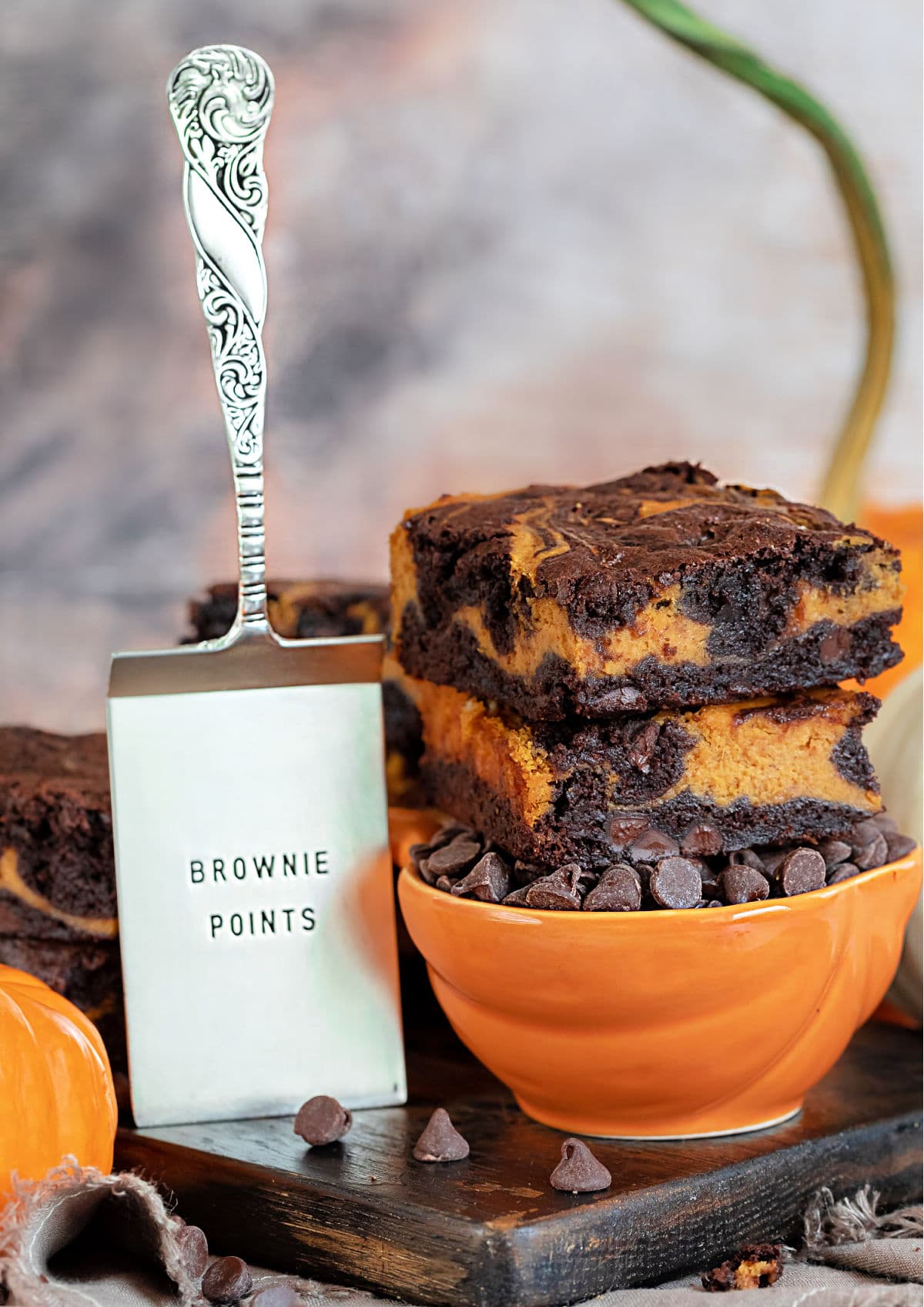 B brownies au gâteau au fromage et à la citrouille assis sur un bol orange rempli de pépites de chocolat avec un serveur de brownies sur le côté gauche