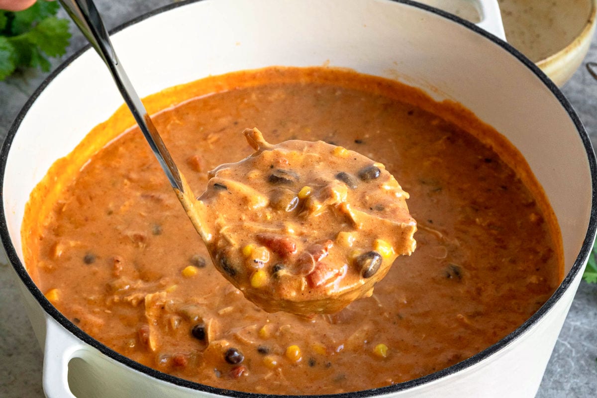 ladle full of chicken enchilada soup held over the pot