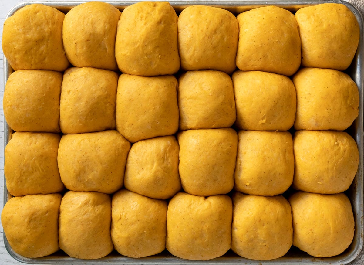 second rise pumpkin dinner rolls in sheet pan