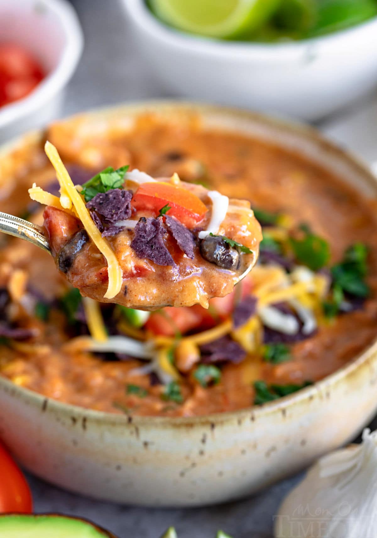 spoonful of chicken enchilada soup with bowl in the background