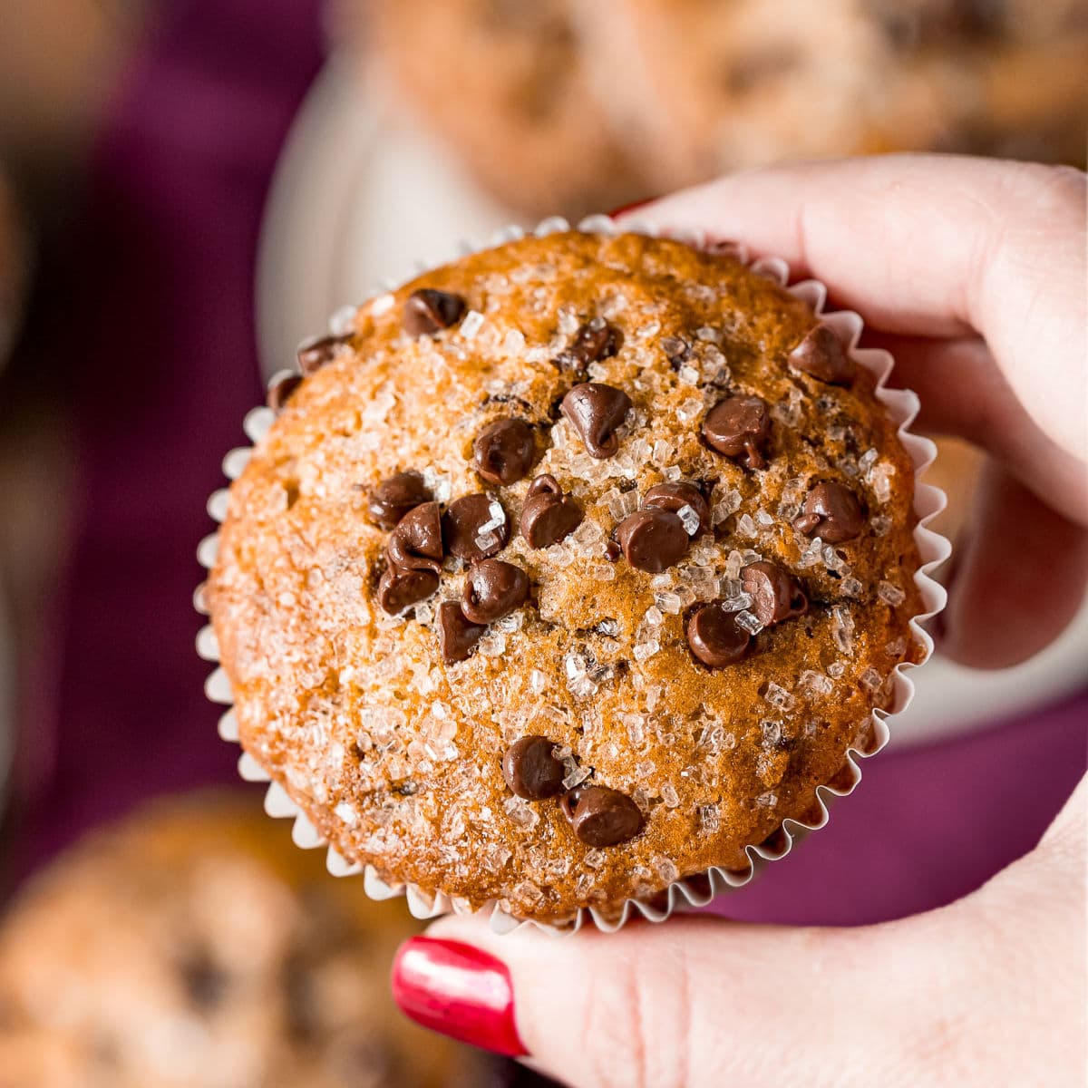 chocolatchocolate chip muffin being held over a plate of muffins
