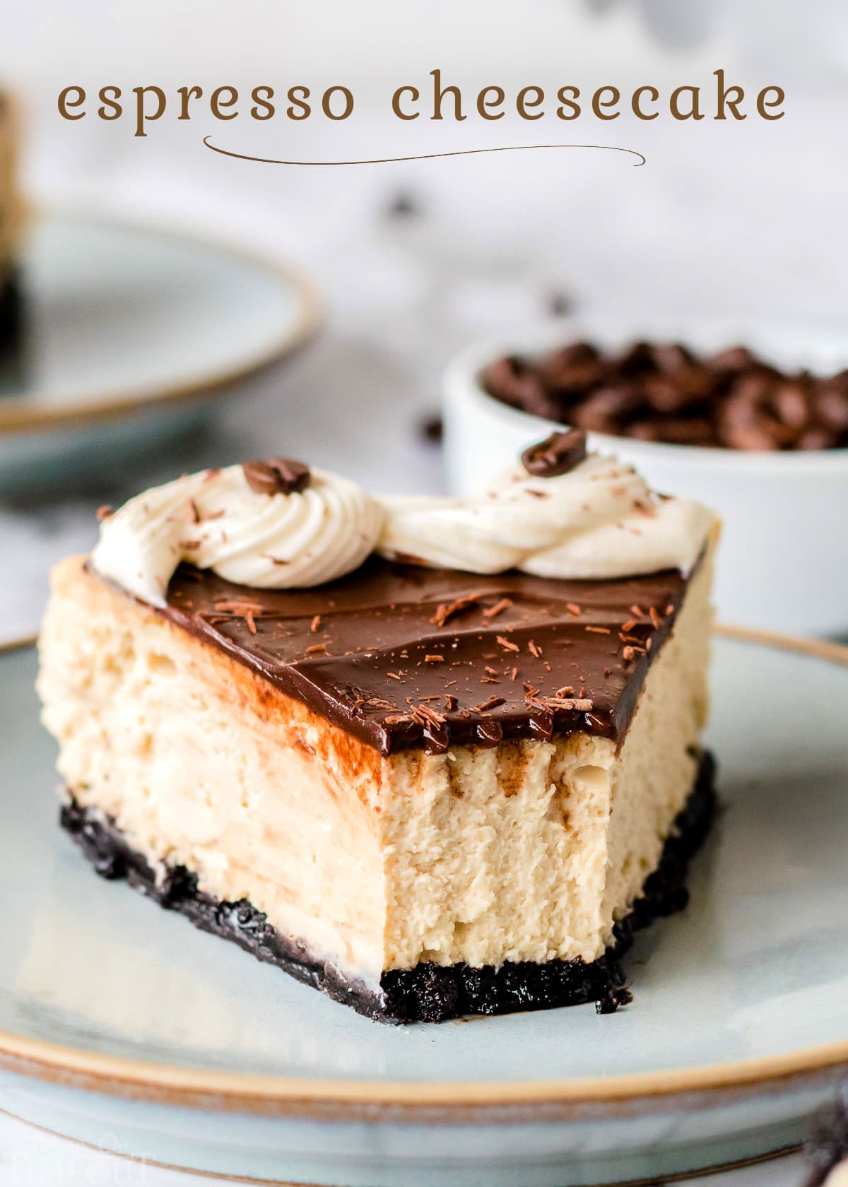 piece of cheesecake on pottery plate topped with ganache and frosting title overlay at top