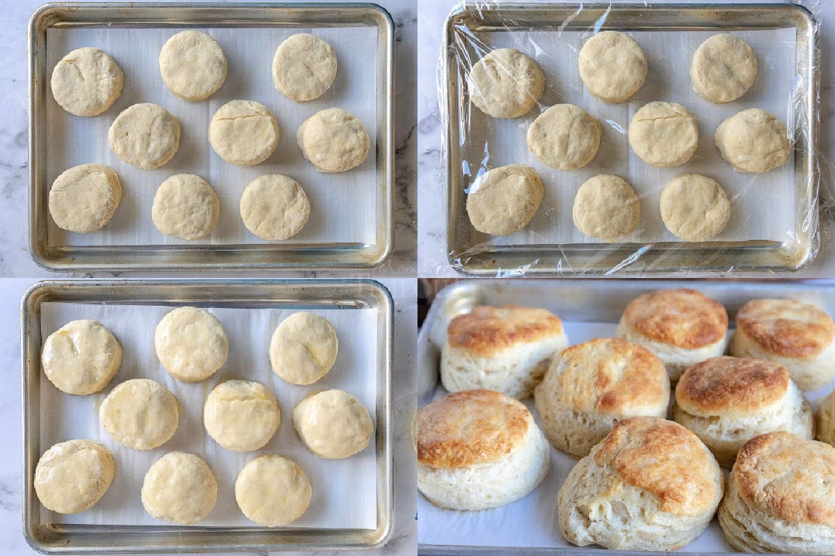 4 image collage of biscuits cut out on sheet pan rising and then baked.