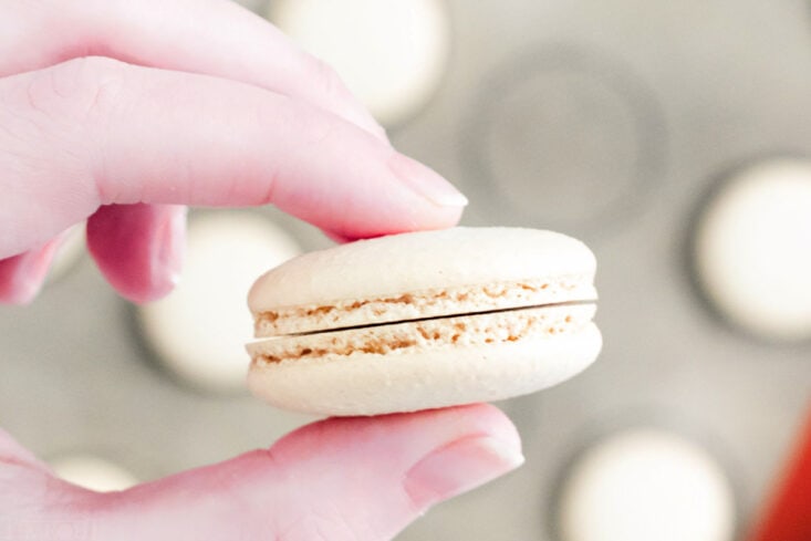 two macaron shells of the same size being held up.