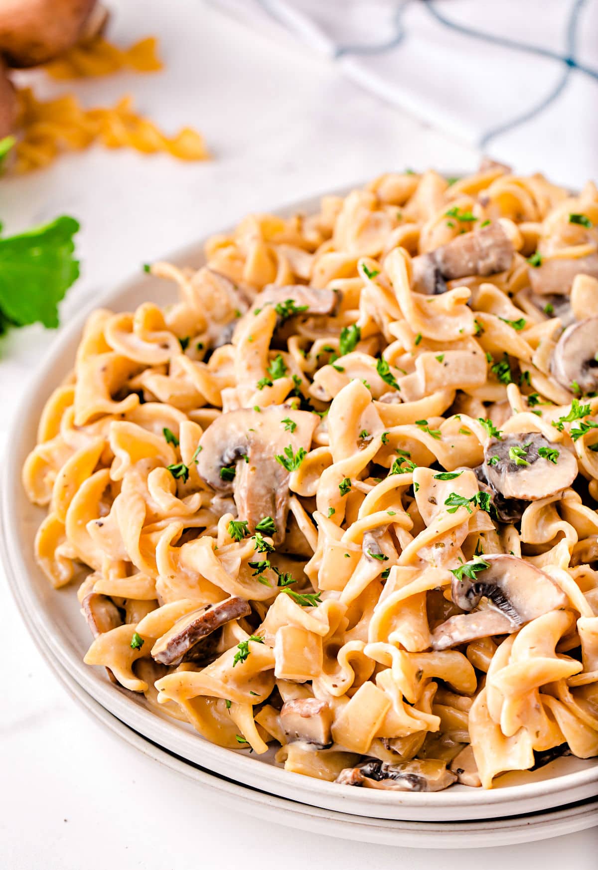 close up look at stroganoff with mushrooms on white plate with white and black towel in background.