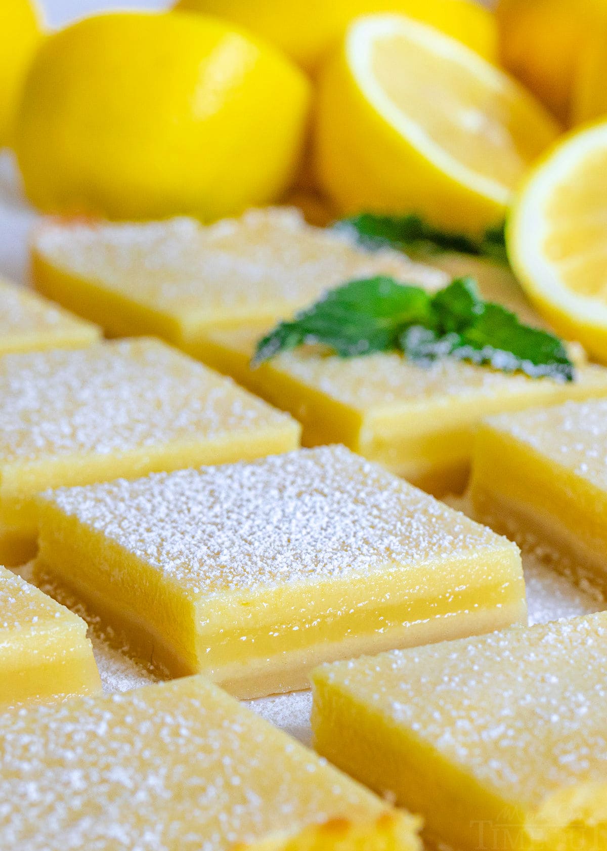 lemon bars cut on parchment paper.