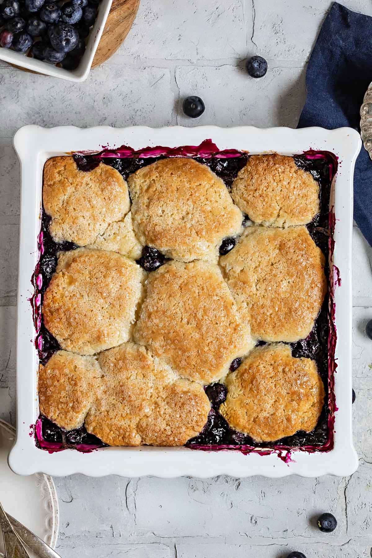 whole blueberry cobbler in white baking dish with scalloped edges. top down view.