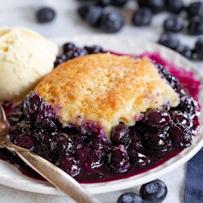 blueberry cobbler on small plate served with a scoop of vanilla ice cream. Fresh blueberries scattered about.