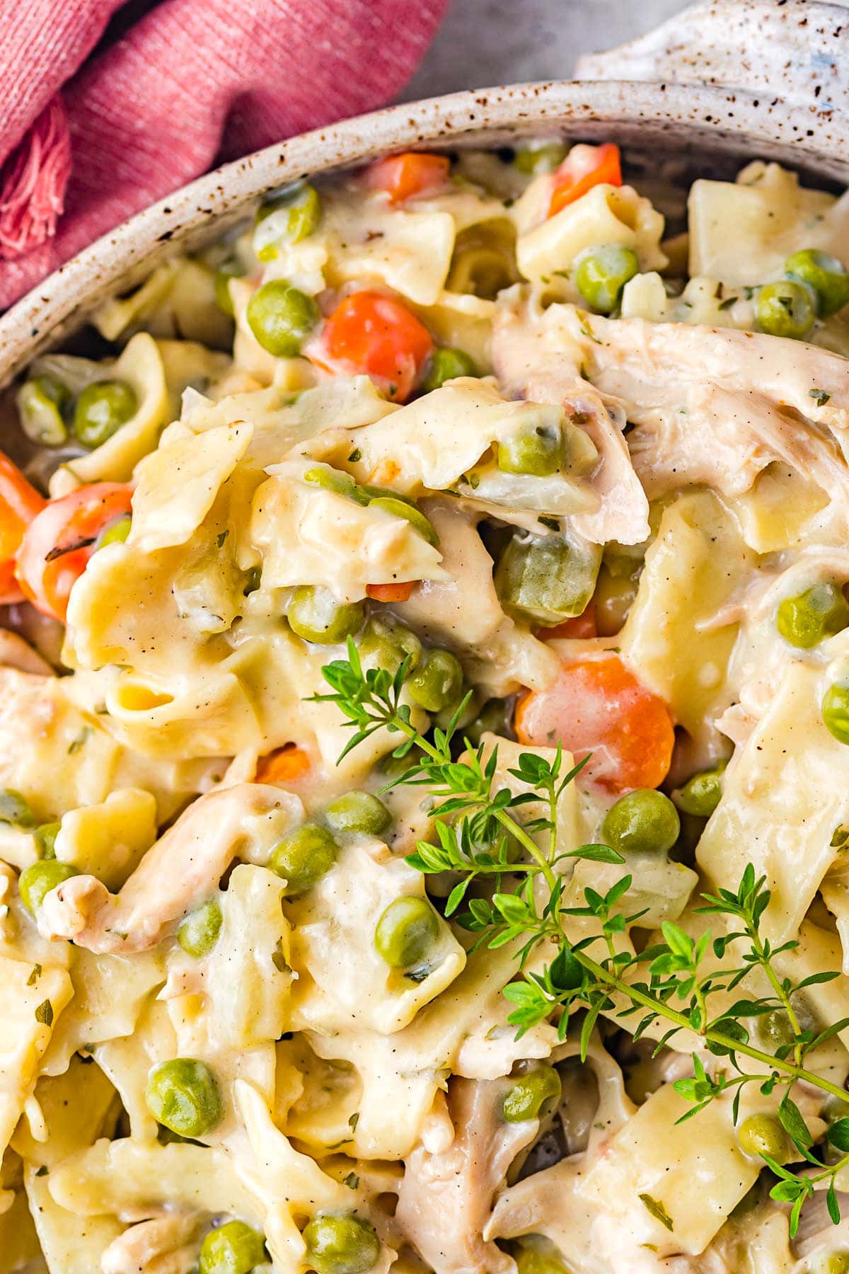close up look at how creamy the chicken and noodles recipe is. 