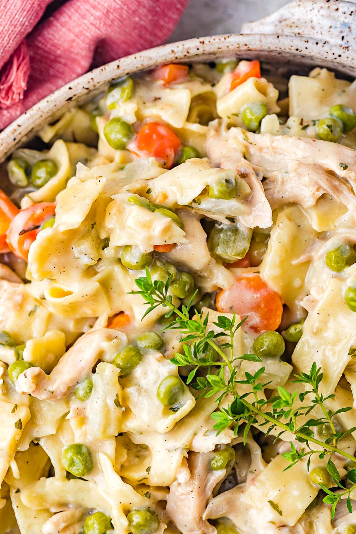 close up look at how creamy the chicken and noodles recipe is.