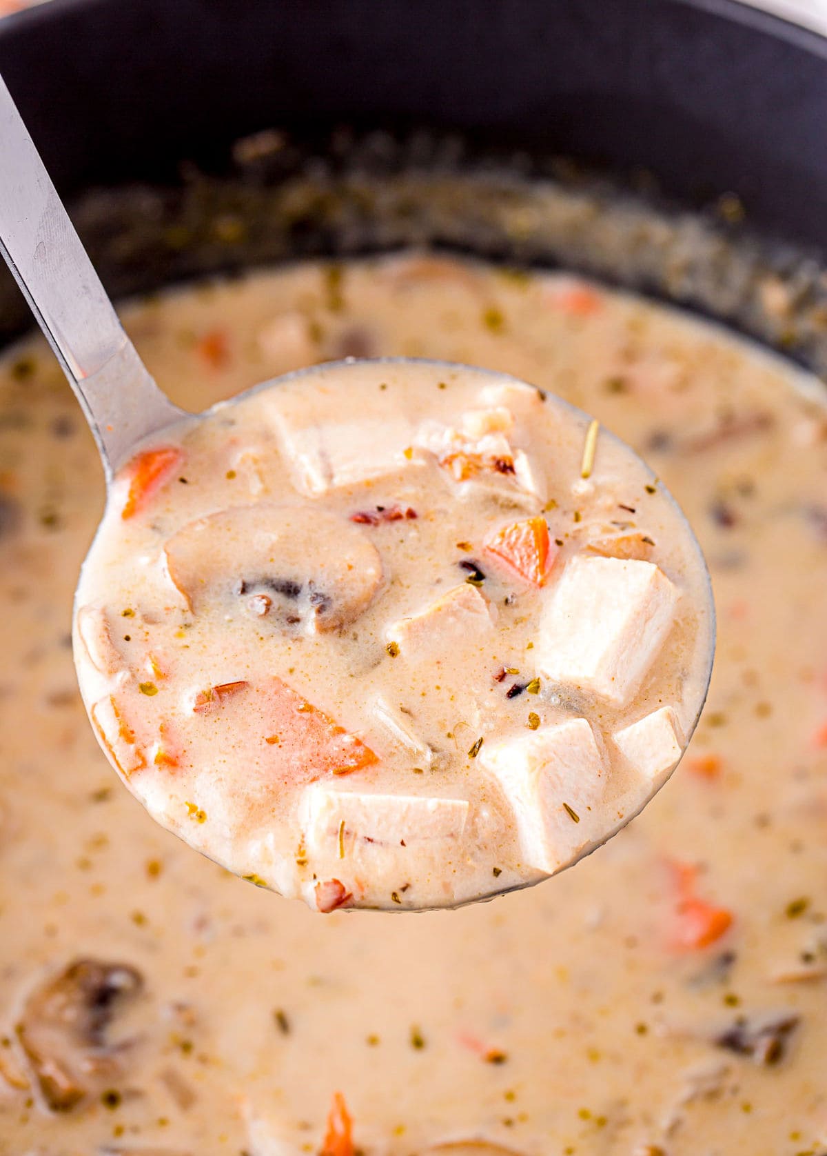 ladle of wild rice soup made with leftover turkey held over the pot.