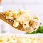 wooden spoonful of chicken alfredo bake held above baking dish.