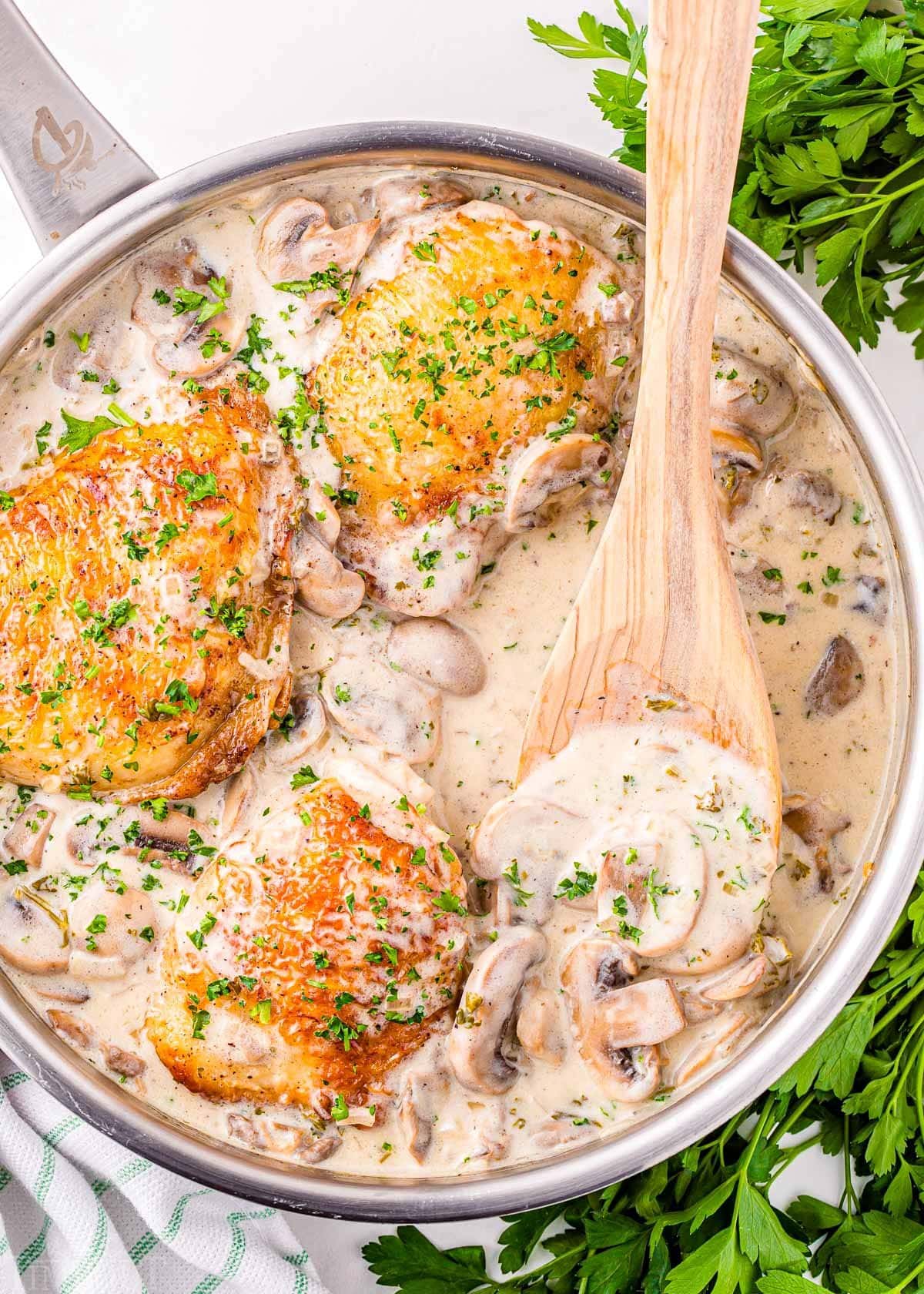 top down look a the chicken fricassee in the skillet with a wooden spoon full of the white wine mushroom sauce.