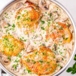 top down look a the chicken fricassee in the skillet with the white wine mushroom sauce.