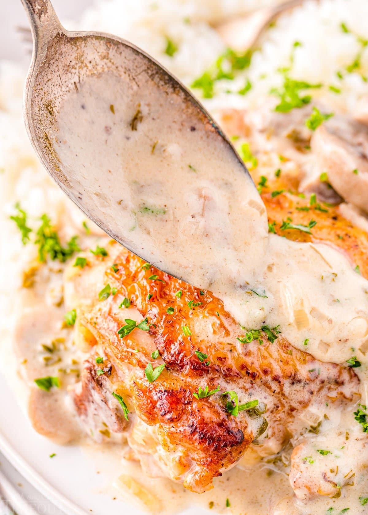 spoonful of white wine and mushroom sauce being drizzled over the top of a golden brown chicken thigh on a plate with rice.