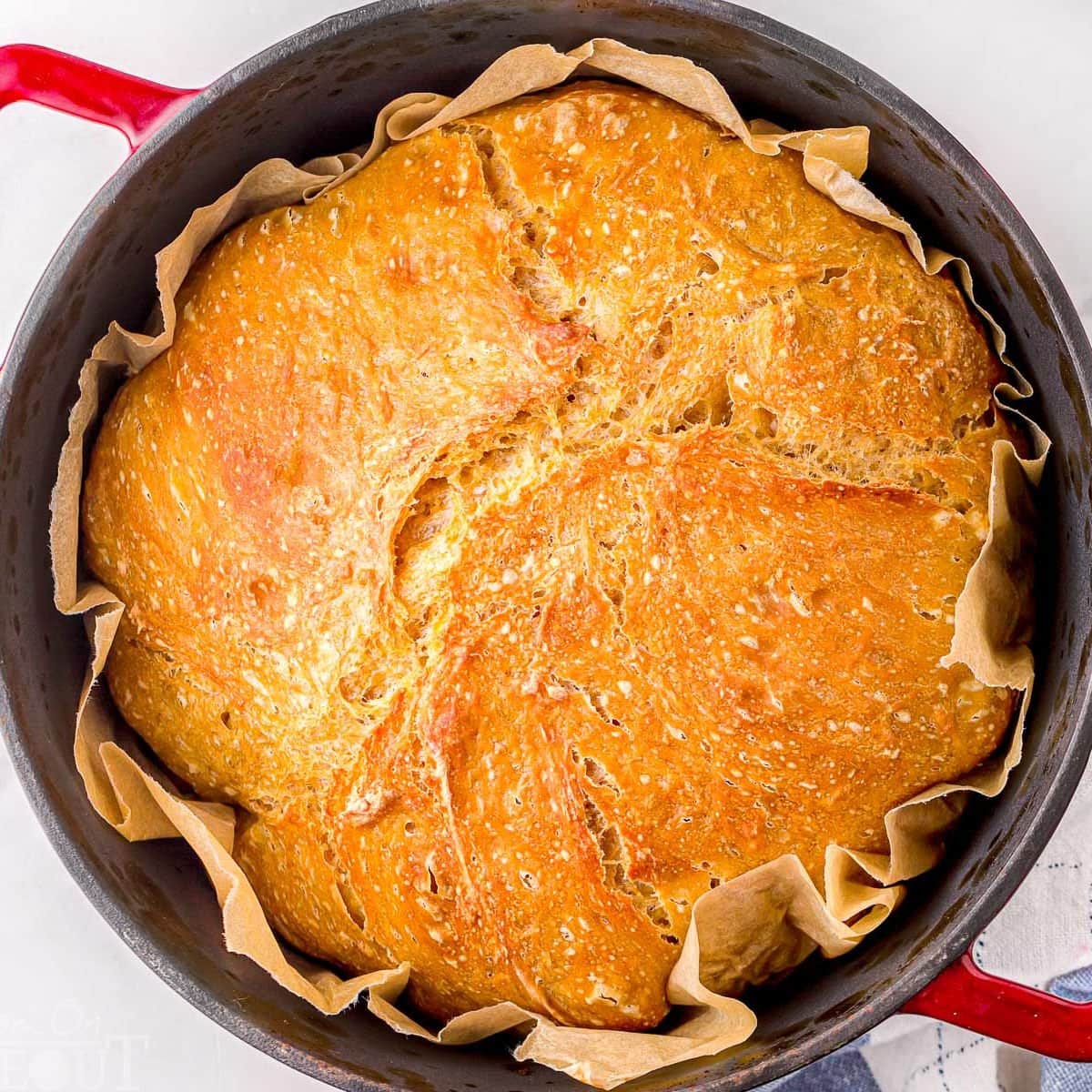 Molasses No Knead Bread Mom On Timeout