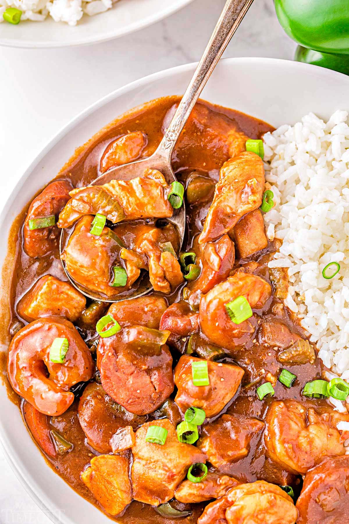 spoonful of gumbo on a round white plate next to a serving of white rice. garnished with green onion.