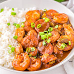 gumbo recipe served on a white plate next to a scoop of white rice and topped with sliced scallions.