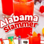 graphic image showing alabama slammer drink with the ingredients and another drink being held up. text overlay saying alabama slammer is over the main drink image.