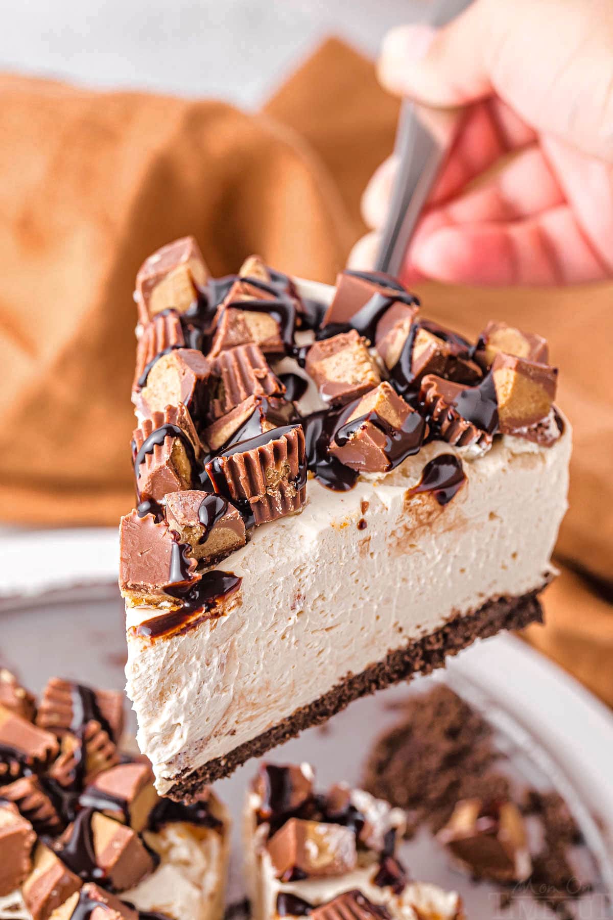 slice of peanut butter cheesecake being held above cheesecake pan ready to be put on a plate.