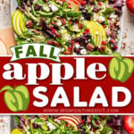 two image collage showing top down views of an apple salad on a platter. salad has dried cranberries, pomegranate seeds and sliced apples. center color block with text overlay.