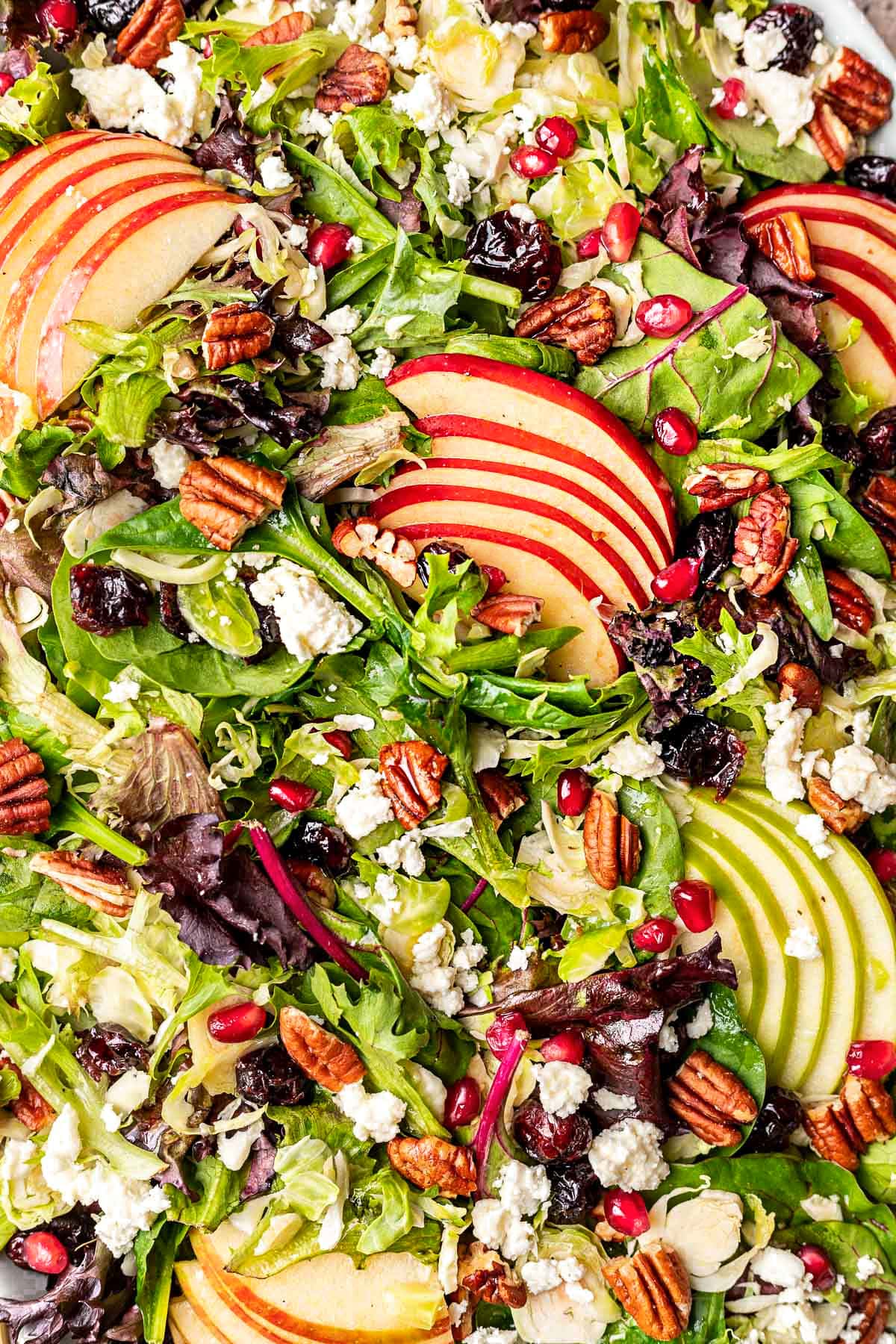 close up look at apple salad made with brussels sprouts and cranberries.