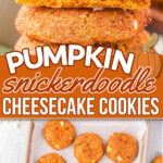 two image collage showing a stack of pumpkin snickerdoodle cookies on top and the cookies on a baking sheet on the bottom. center color block with text overlay.