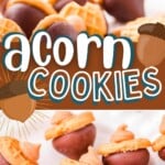 two image collage showing acorn cookies with the top image showing a cookie being held up over a plate and the bottom shows more acorn cookies on the plate. center color block with text overlay.