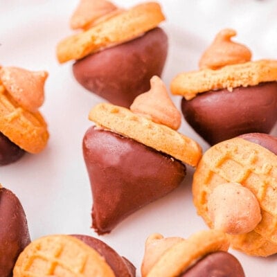 acorn cookies with peanut butter chips stems sitting on a white plate ready to be enjoyed.