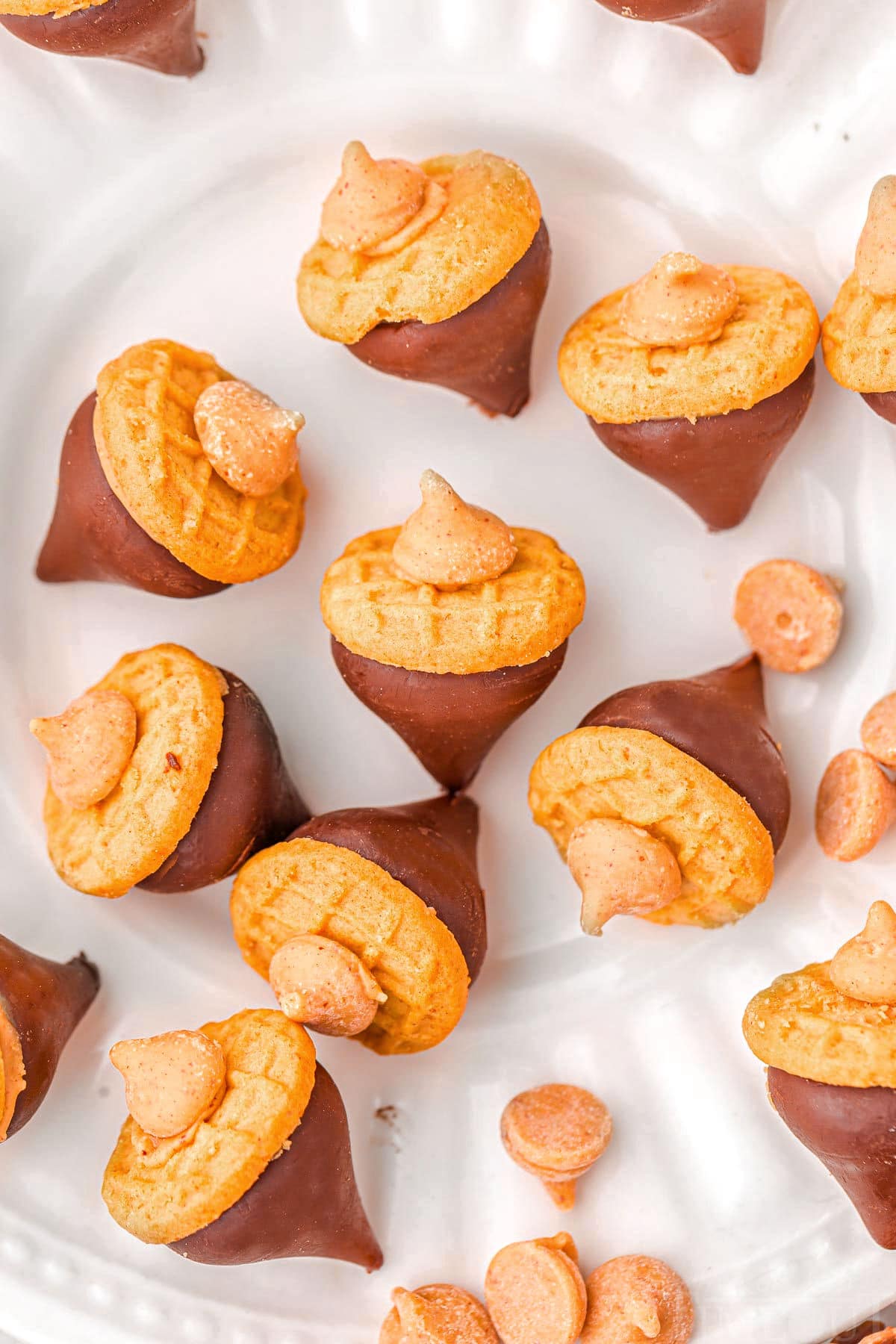 eight acorn cookies on a white plate with peanut butter chips scattered about.