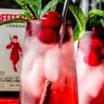 cranberry gin cocktail sitting on black surface with a second cocktail directly behind it. bottle of gin in the background. cocktails are garnished with mint and cranberries. text overlay at top of image.