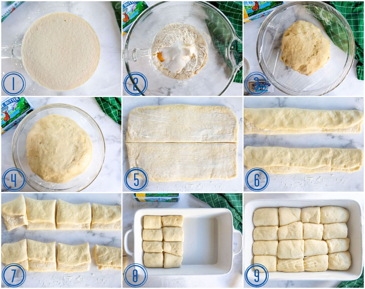 nine image collage showing how to make parker house rolls.