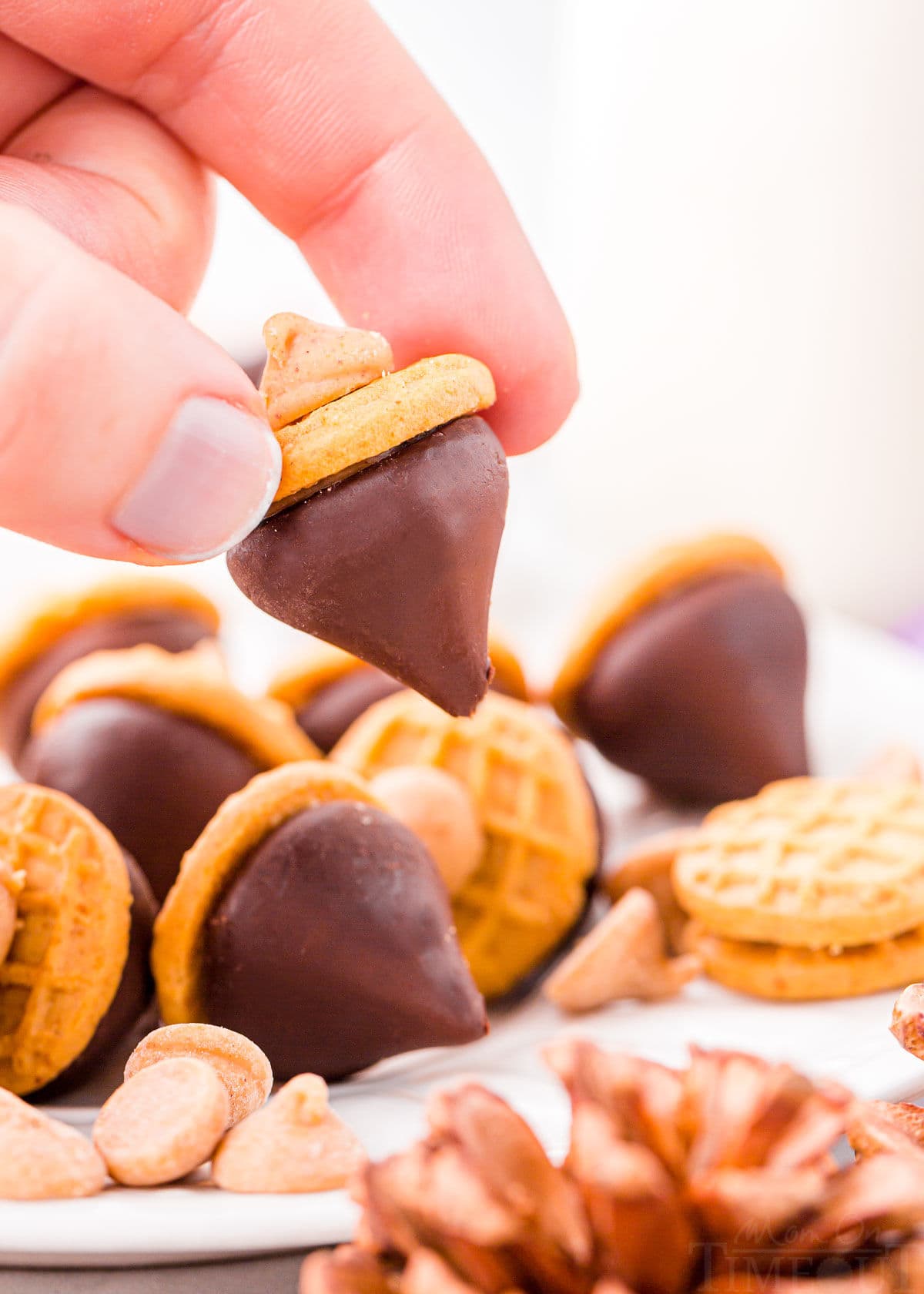 hand holding a kisses acorn treat above a tray with more acorns.